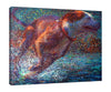 Iris-Scott,Modern & Contemporary,Animals,animals,dogs,splatters,water,playing,