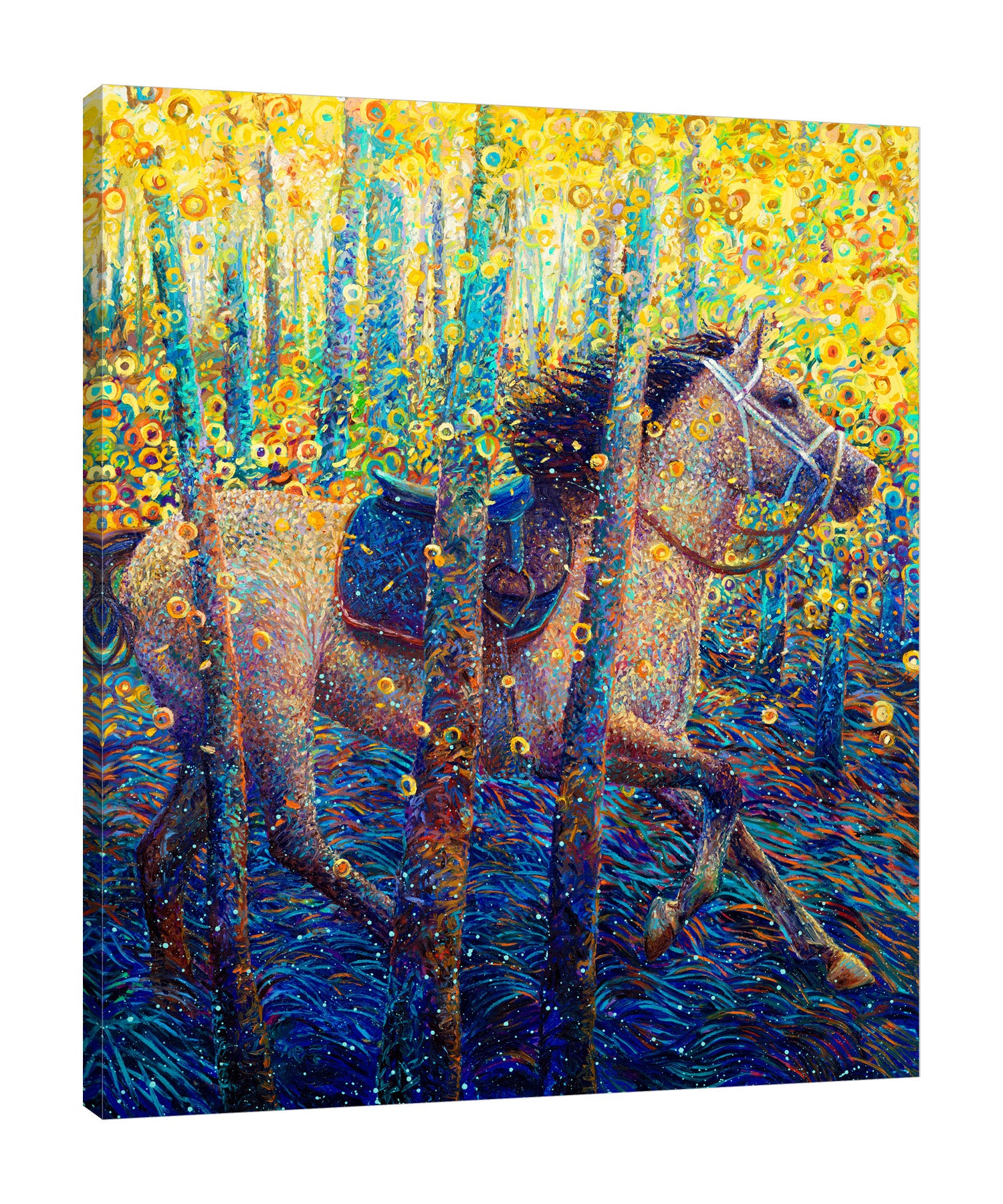 Iris-Scott,Modern & Contemporary,Floral & Botanical,