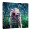 Iris-Scott,Modern & Contemporary,Animals,animals,dogs,splatters,water,playing,