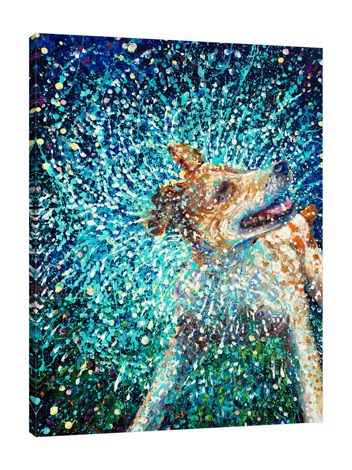 Iris-Scott,Modern & Contemporary,Animals,dogs,shaking dog,impressionism,animal,finger paint,