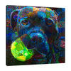 Iris-Scott,Modern & Contemporary,Animals,dogs,animals,tennis ball,balls,