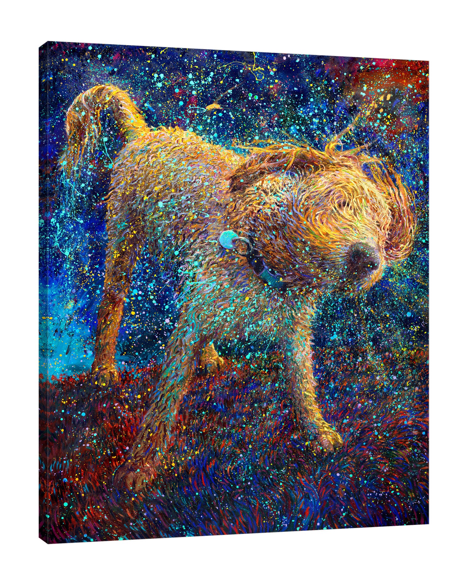 Iris-Scott,Modern & Contemporary,Animals,shaking dog,impressionism,animal,finger paint,animals,dogs,