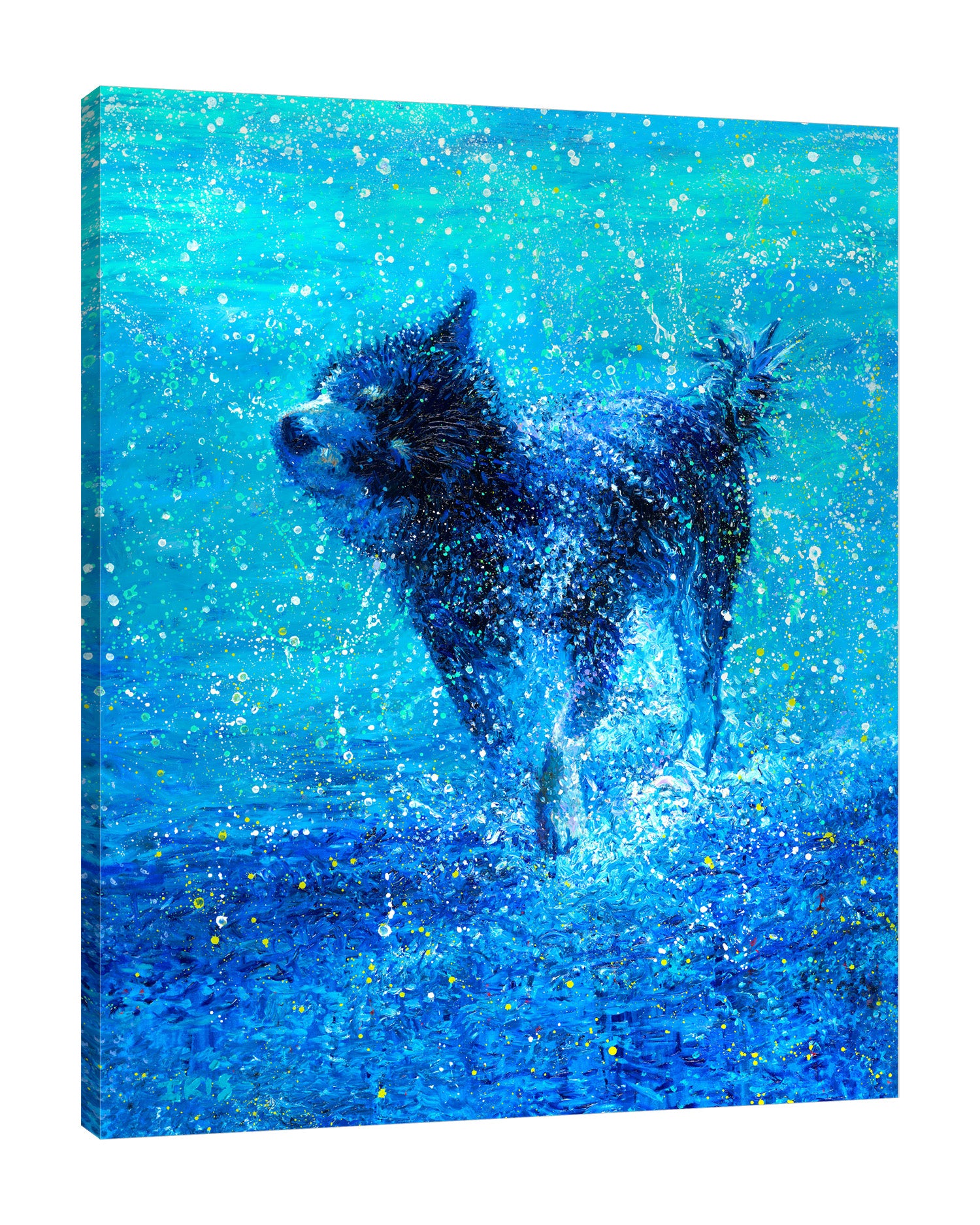 Iris-Scott,Modern & Contemporary,Animals,Impressionism,shaking dog,finnger paint,animals,dogs,splatter,