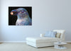 Iris-Scott,Modern & Contemporary,Animals,Impressionism,surreal,finger paint,animal,nature,birds,
